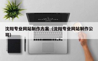白沙沈阳专业网站制作方案（沈阳专业网站制作公司）